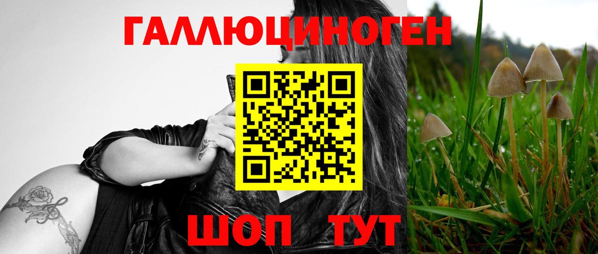 Галлюциногенные грибы мухоморы Киржач
